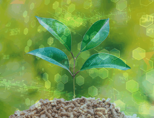 Biomass Plant Enhances Operational Excellence with HanPrism